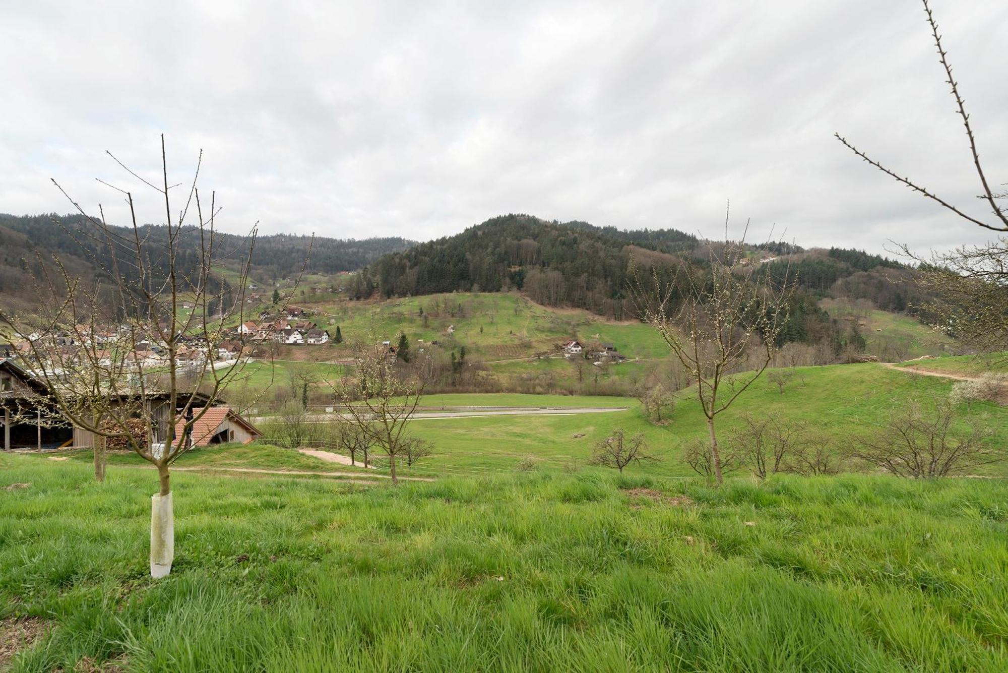 Haus Am Schroffen Ottenhofen im Schwarzwald Exterior foto